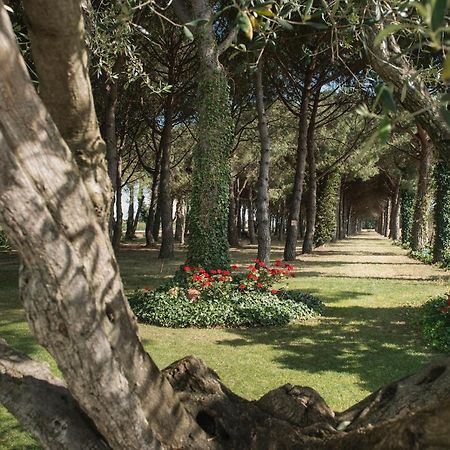 סאנט פרה פסקדור Hotel El Moli מראה חיצוני תמונה